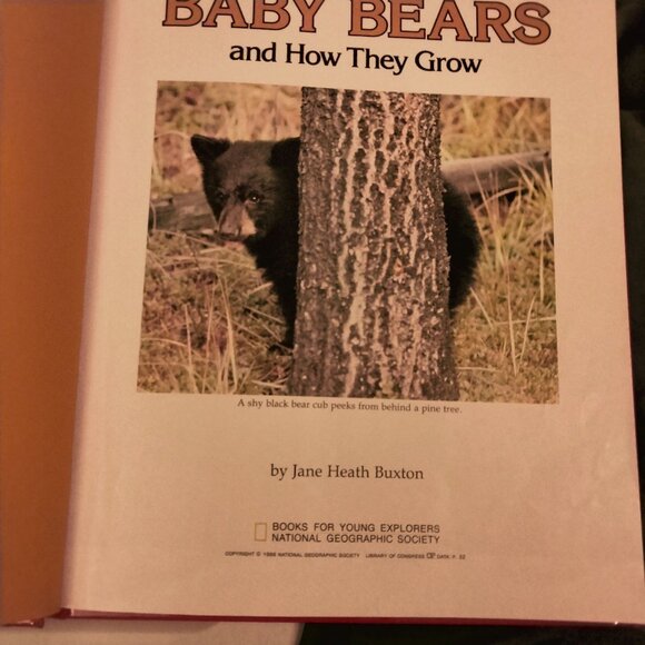 Baby Bears And How They Grow National Geographic Hardcover Book - Picture 4 of 9